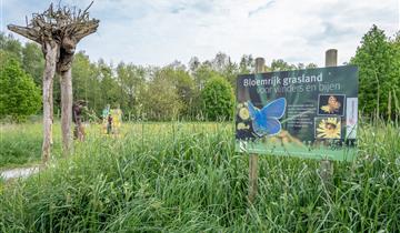Kandidaat-beheerders gezocht voor beheerwerken natuurgebieden